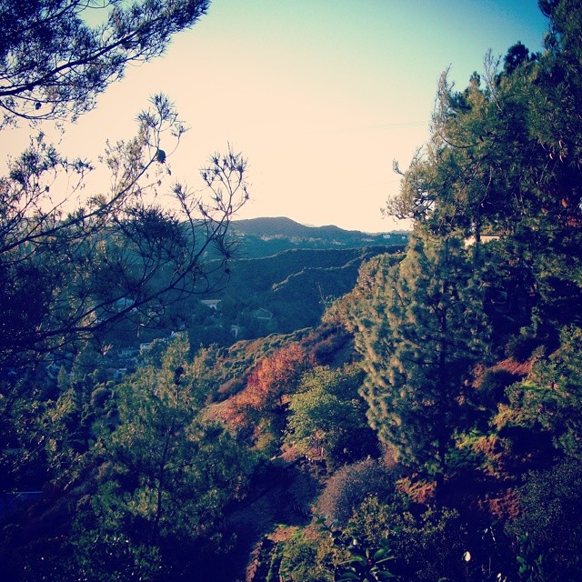 Surprise: no palm trees in sight :) #Mountains near #LosAngeles, #California