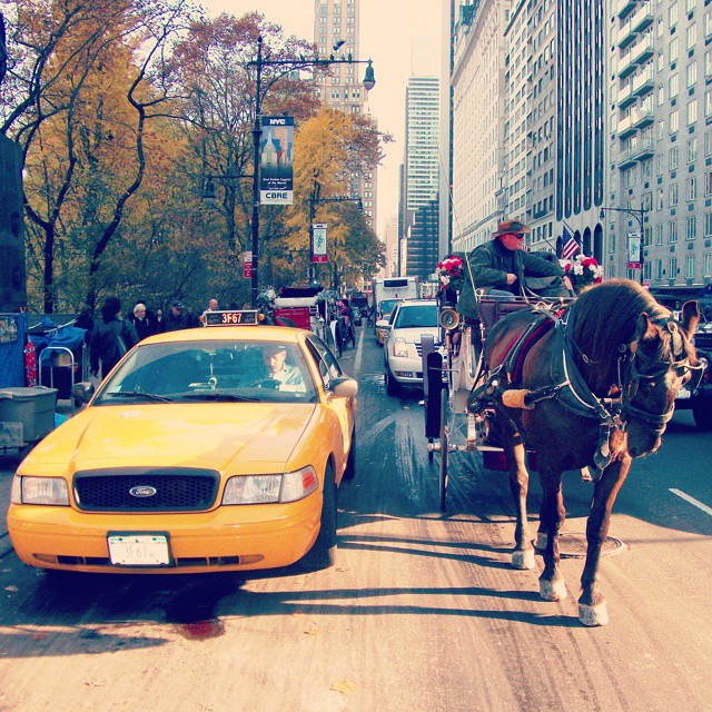 Which one would you choose? #NewYork #newyorkcity #NYC