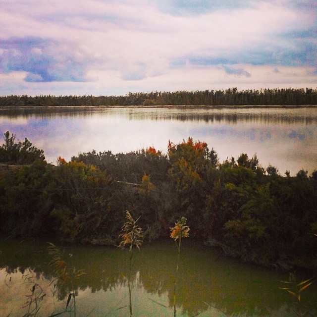 An evening on the salt lake (la salina) #Spain #lakes #landscape