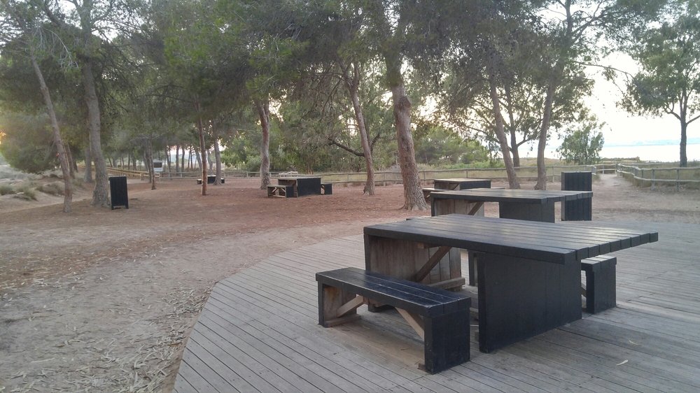 La Pinada - a picnic area near the lake