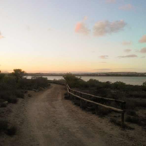One of the trails at sunset time