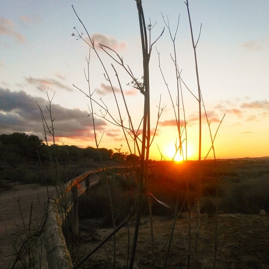 Sunset over a hiking trail near the Laguna de La Mata