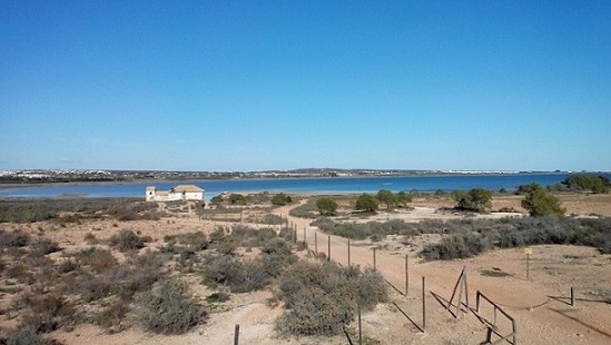 View from the observation tower (western bank of Salina de La Mata)