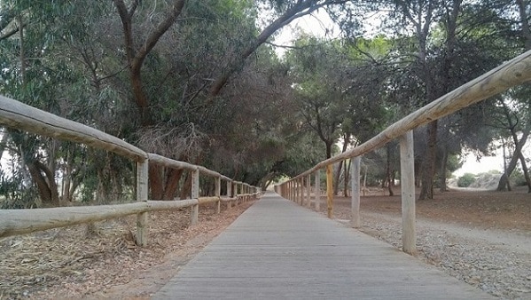 Wooden sidewalk near Salina de La Mata Torrevieja