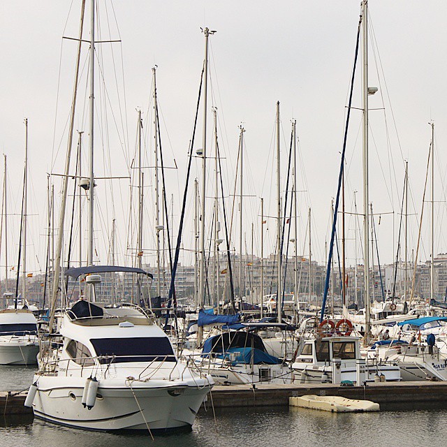 Have you tried sailing yet? #sea #boats #marina