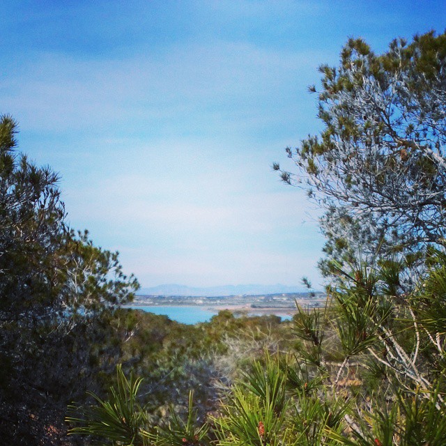 View to Salina de La Mata from a hill nearby