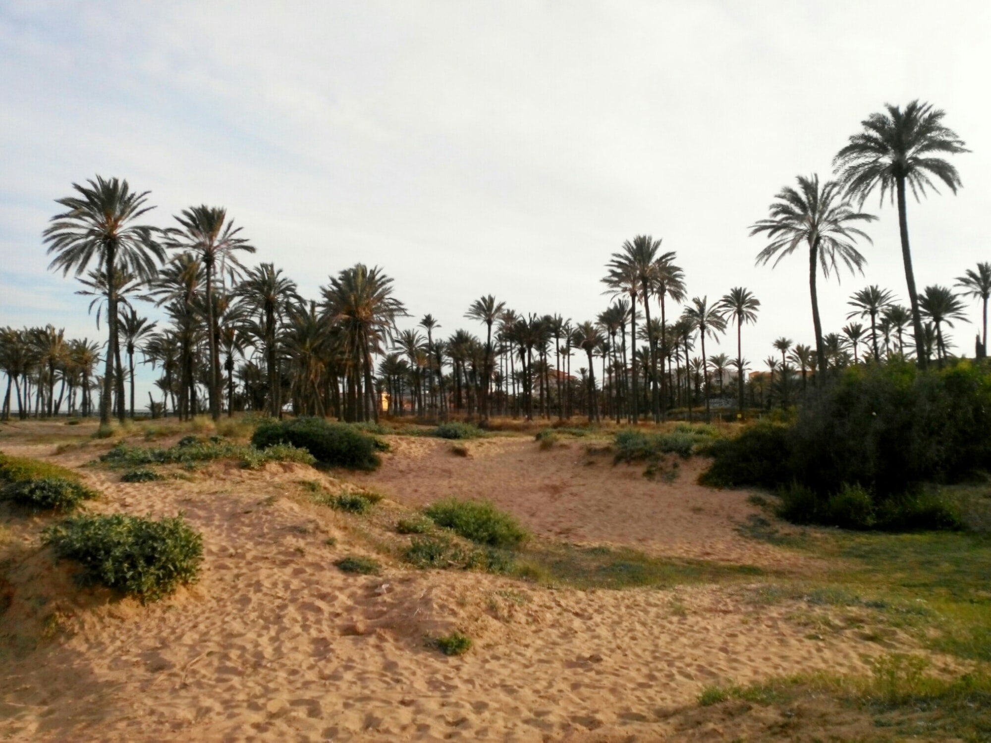 Cala Ferris Beach. Torrevieja, Spain