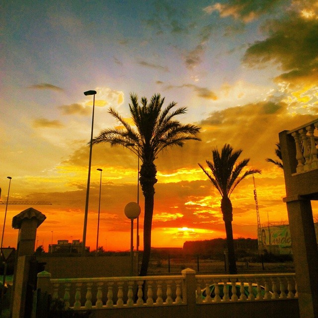 Sunsets and palm trees: there’s no better view than that! June, 29, 2014